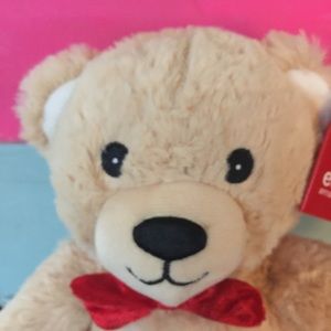 Cute Little Teddy Bear NWT